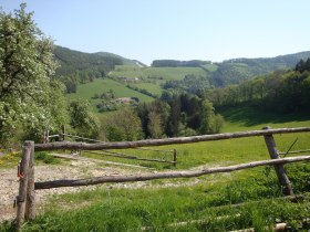 Buchberger Weg (Warth-Petersbaumgarten-Kaltenberg), © Wiener Alpen in Niederösterreich - Bad Schönau