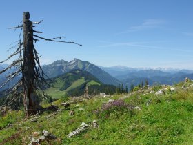 Haute Route Niederösterreich, © Mostviertel