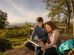 Wandertouren, © Donau Niederösterreich - Kamptal-Wagram-Tullner Donauraum