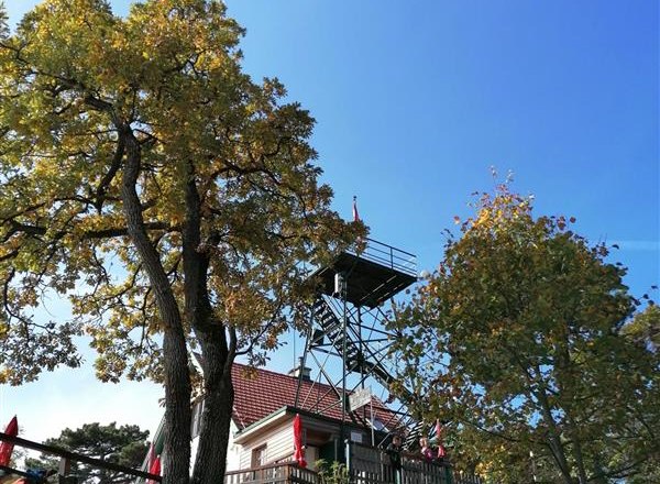 Klesheimwarte bei der Rudolf Proksch Hütte, © Wienerwald Tourismus