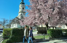 Ortsspaziergang Bruck an der Leitha, Stadtpfarrkirche, © Donau Niederösterreich, Neubauer