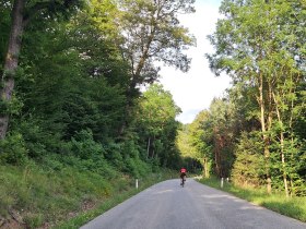 Schattige Abfahrt durch den Dunkesteinerwald, © Donau Niederösterreich Tourismus GmbH