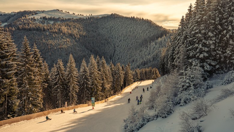 Naturrodelbahn am Semmering, © Semmering Hirschenkogel Bergbahnen GmbH