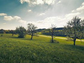 Laabentalradweg, © Wienerwald