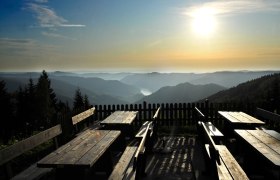 Wachauterrasse, © Wachau-Nibelungengau-Kremstal