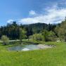 Relaxen am Wasser für Forellenhofgäste, © Wiener Alpen