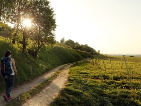 Jakobsweg Donau, © Donau Niederösterreich Tourismus GmbH