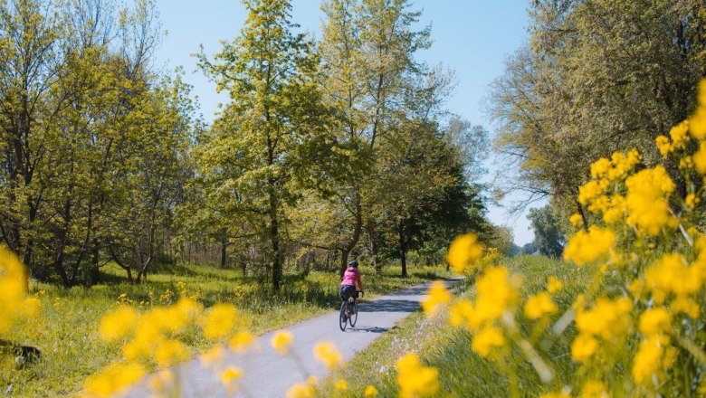 Entlang des Traisental-Radweges, © Franziska Consolati