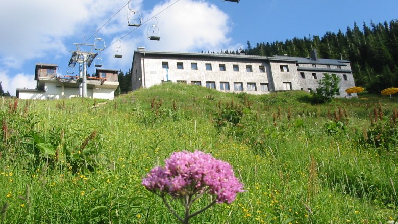 Ötscherschutzhaus im Sommer, © Ötscherschutzhaus, Karin Müller