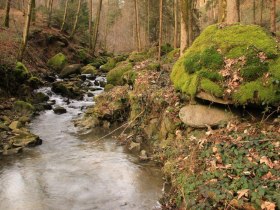 Blindbach, © OEAV Ortsgruppe Blindenmarkt