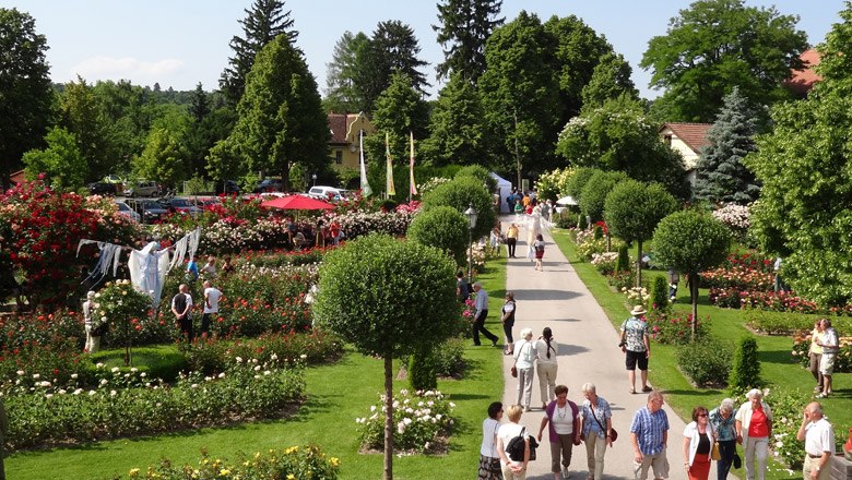 Beim Rosengartenfest im Juni blüht der Garten in voller Pracht, © Rosengarten Pitten