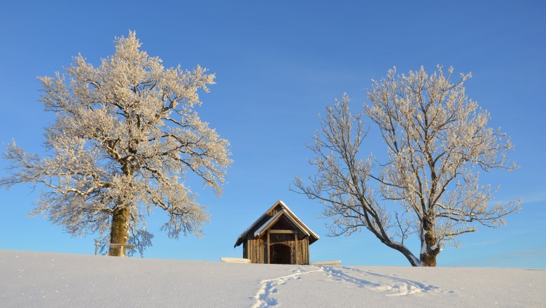 Strahlend blauer Himmel im Winter, © Gottfried & Rosina Wagner