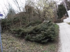 Linsgrabenweg, © Wiener Alpen in Niederösterreich - Schneeberg Hohe Wand