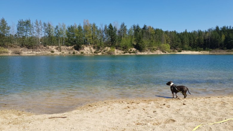 Baden mit Hund im Gmünder Strandbad, © Waldviertel Tourismus, Kerstin Glaser