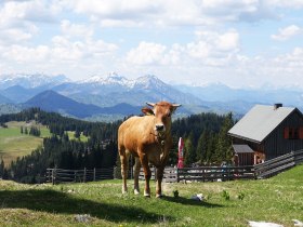 Vom Erlaufsee über die Brach auf die Gemeindealpe, © Mostviertel Tourismus/Sonja Stadlbauer