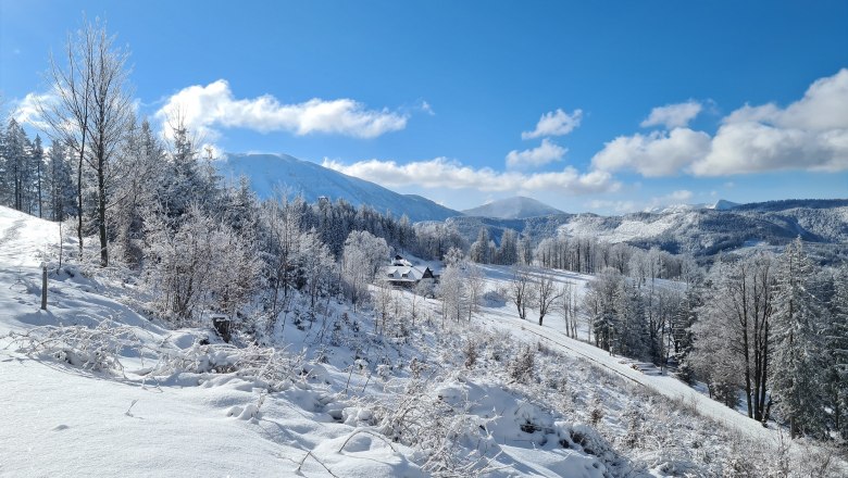 Winterlandschaft, © Erika Pieber