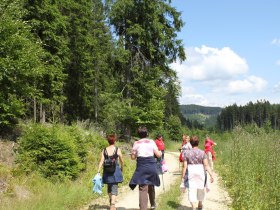 Eisenwurzenweg 608, © Tourismusverein Bärnkopf