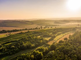 Fels am Wagram „Tut gut!“- Wanderweg Route 1, © Donau Niederösterreich - Kamptal-Wagram-Tullner Donauraum