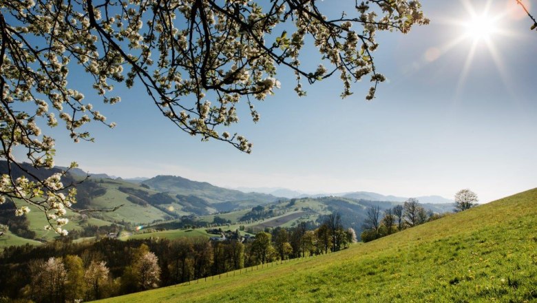 Fotopunkt St. Georgen an der Klaus - Kirche, © schwarz-koenig.at