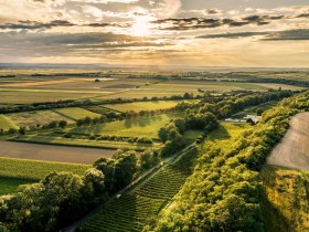 WAGARM, © Donau Niederösterreich - Kamptal-Wagram-Tullner Donauraum