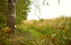 Rastmöglichkeit am Weitwanderweg Nibelungengau in Artstetten, © Donau Niederösterreich / Klaus Engelmayer