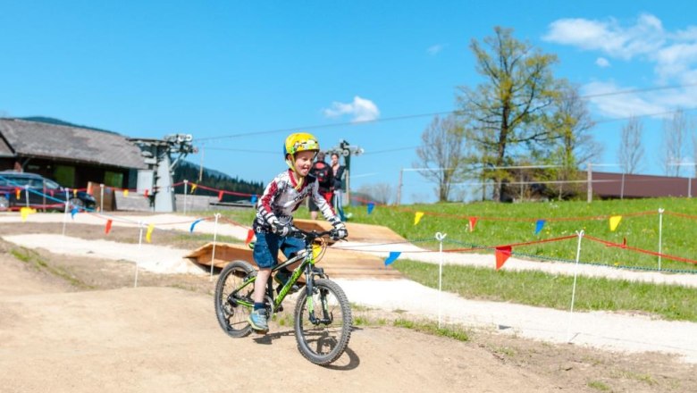 Bike park Königsberg, © Wolfgang Wutzl