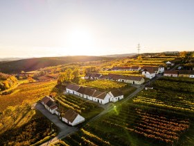 Wald- und Weinweg, © POV