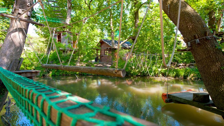 oder den Kletterpark in Tattendorf!, © Dumba Park_Kopp