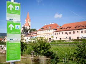 MTB-Tour startet in Weißenkirchen, © Donau NÖ Tourismus/Barbara Elser