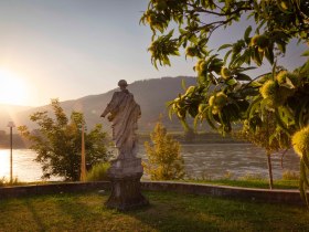 Rollfähre Spitz und Minerva, © Donau Niederoesterreich_Barbara Elser