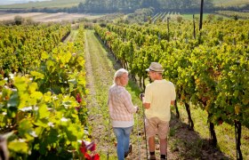 Wandern im Retzer Land, © Weinviertel Tourismus GmbH