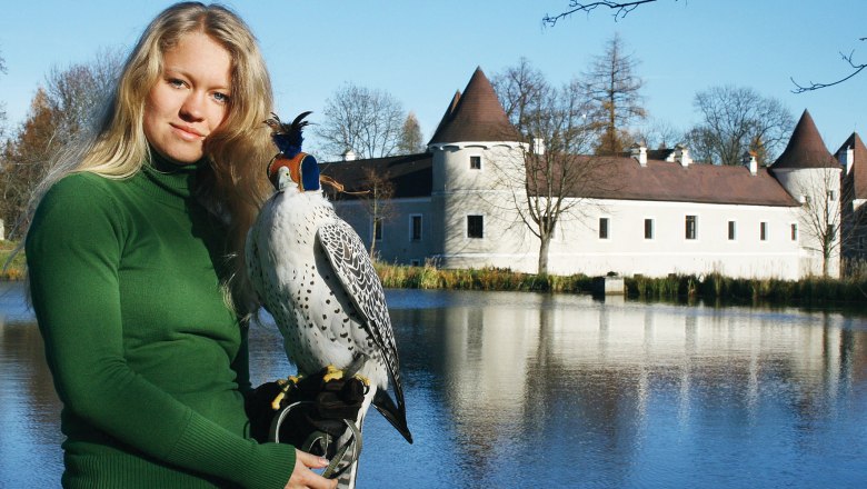 Lower Austrian Falconry and Bird of Prey Centre, © NÖ Falknerei- und Greifvogelzentrum