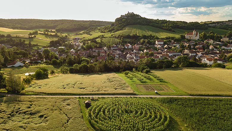 Blick auf die Burgruine Falkenstein, © Michael Reidinger