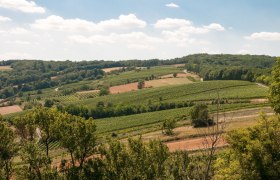 Aussicht ins westliche Weinviertel, © Weinviertel Tourismus GmbH