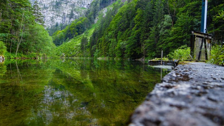 Mittersee, © mostmedia, Rene Jagersberger