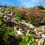 Rock garden, © Familie Winter