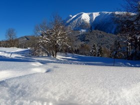 Mandlboden-Loipe, © Gerhard Pechhacker