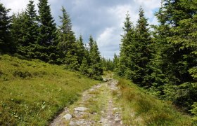 alpannonia - Regionale Route Trattenbach - Kranichberger Schwaig, © Wiener Alpen in Niederösterreich - Alpannonia