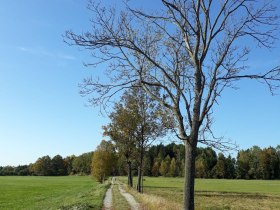 Naturparkweg, © Stadtgemeinde Schrems