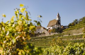 Pfarrkirche Senftenberg, © Doris Schwarz-König