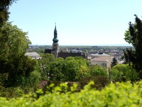 Blick zum Harterberg, © Baden Tourismus/Markus Berger