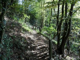 Herrlicher Waldweg oberhalb von Ernsthofen, © Mostviertel - OÖ Mariazellerweg