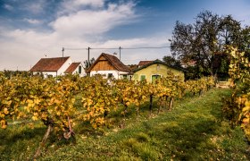 Feuersbrunn, © Donau Niederösterreich - Kamptal-Wagram-Tullner Donauraum