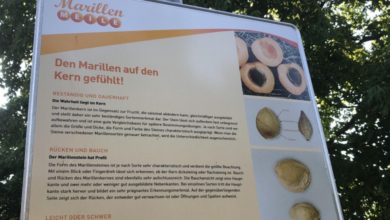 Infotafel auf der Marillenmeile, © Donau NÖ Tourismus GmbH