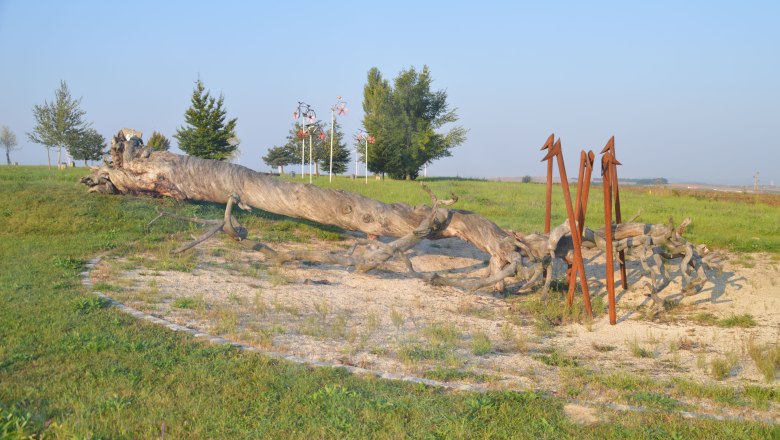 Baumkreis Veltlinerland, © StadtGemeinde Mistelbach / Mag. Mark Schönmann