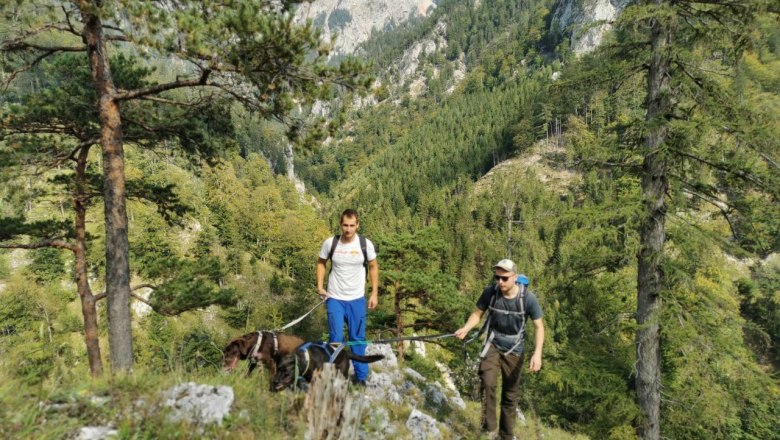 geführte Wanderung, © Wild Nasswald