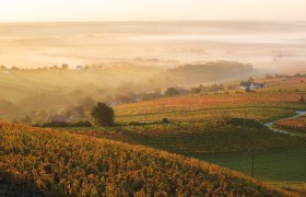 BERNSTEIN TRAIL Ostroute | Genusswandern zwischen Alpen und Puszta, © BURGENLAND