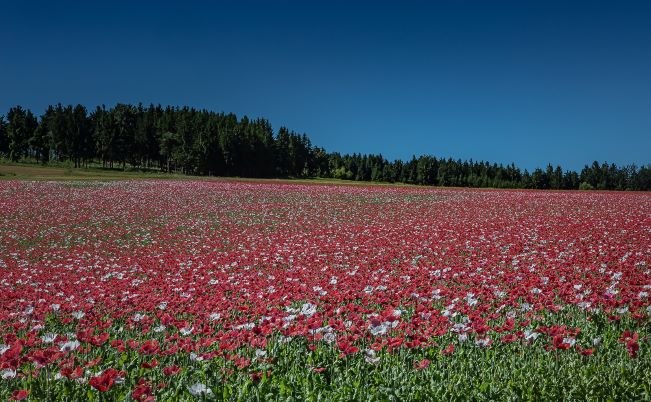 Die Umgebung des Hauses, © U.E.