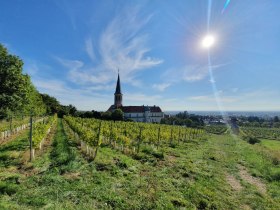 Gumpoldskirchen, © Wienerwald Tourismus