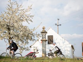 Radfahren im Retzer Land, © Weinviertel Tourismus / Bartl